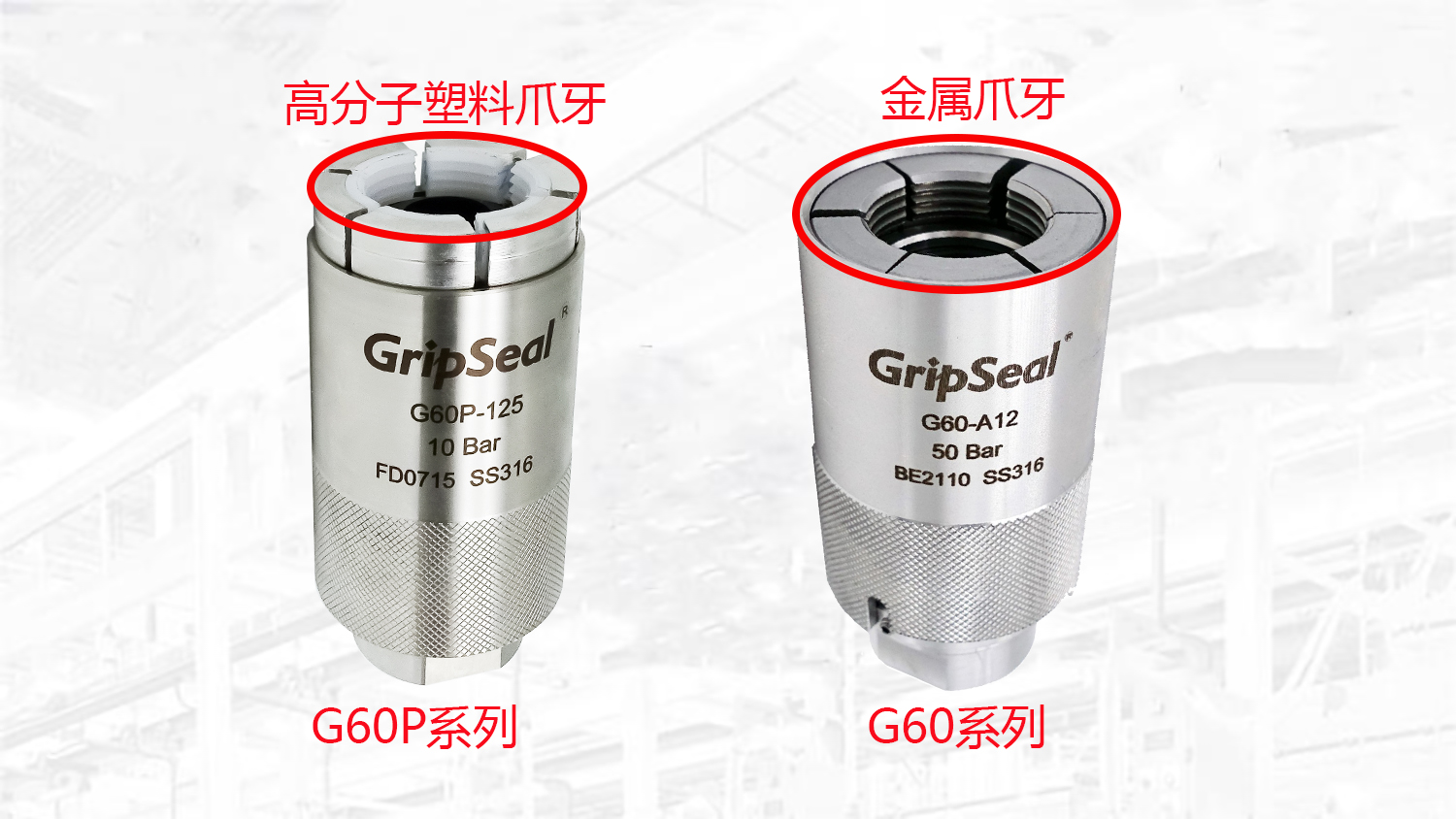 祥顺彩票G60系列和G60P系列的对比